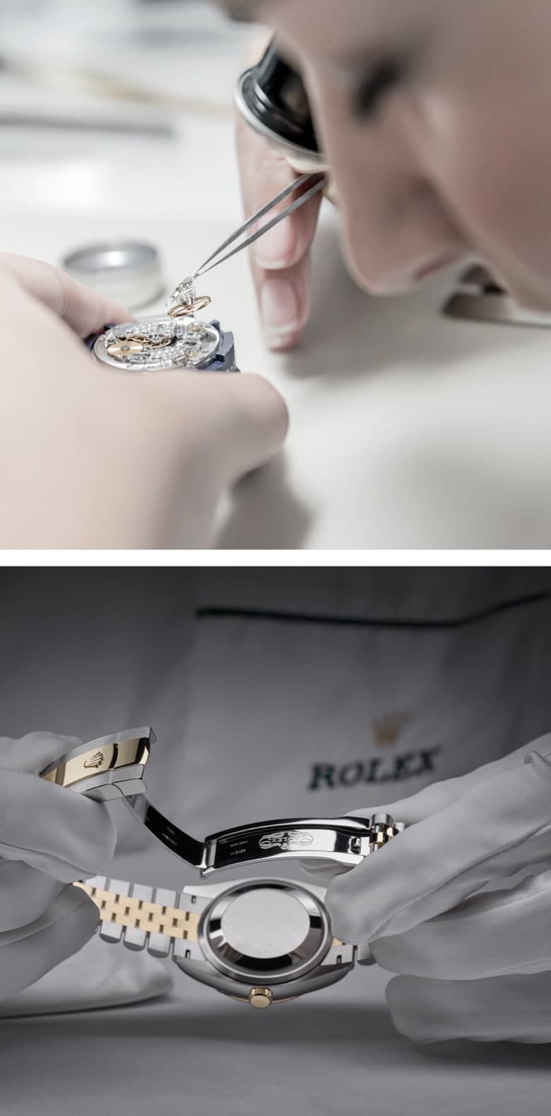 A voyage into the world of Rolex - Global Watch Company